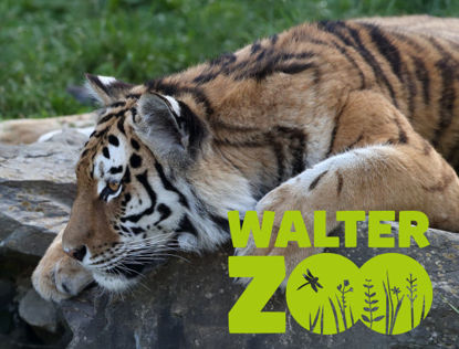 Bild von Gutschein Walter Zoo & Chocolarium Familienticket